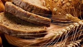 Links to Non-Celiac Gluten Sensitivity category of lessons.