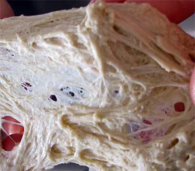 Wheat Flour Kneaded Into Gluten